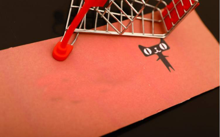 开天猫店大概多少钱,开天猫店铺的费用