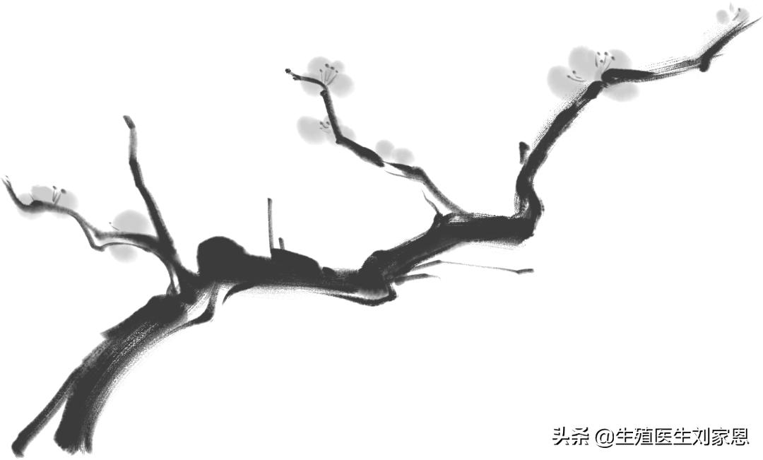 民间中医治不孕靠谱吗,治疗不孕中医还是西医