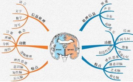 宝宝五岁到七岁大脑发育训练,0-3岁宝宝大脑发育及人格培养