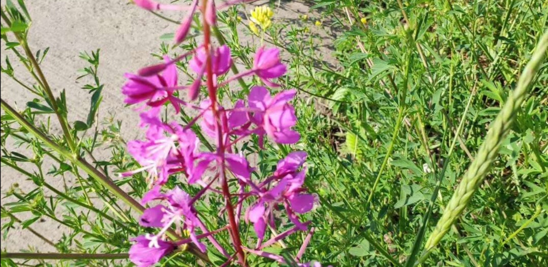 故事：不是最好的丈夫，是最合适的暖男