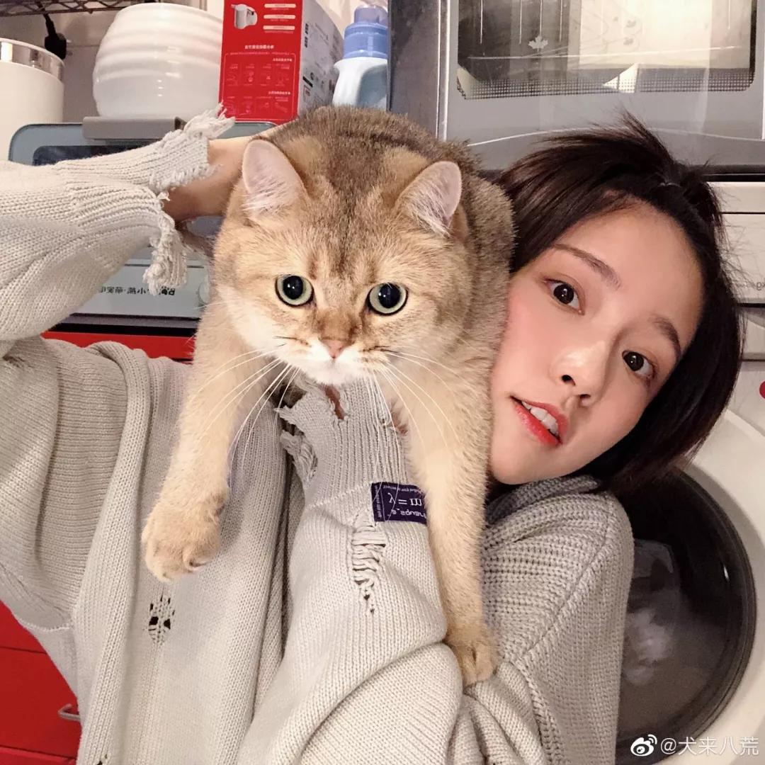 诸葛大力真的有这么白吗,诸葛大力为什么这么漂亮