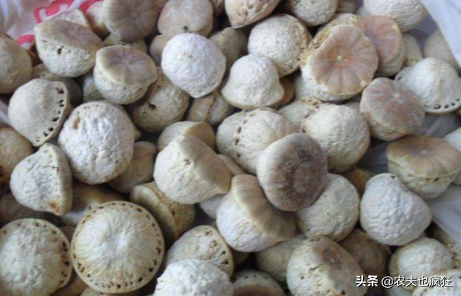 3年才结1次果，过去没人摘，如今靠名字走红，市场25元1斤很抢手