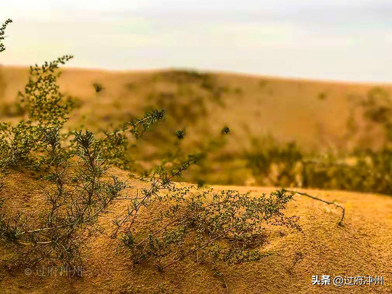 内蒙古荒漠,探索腾格沙漠