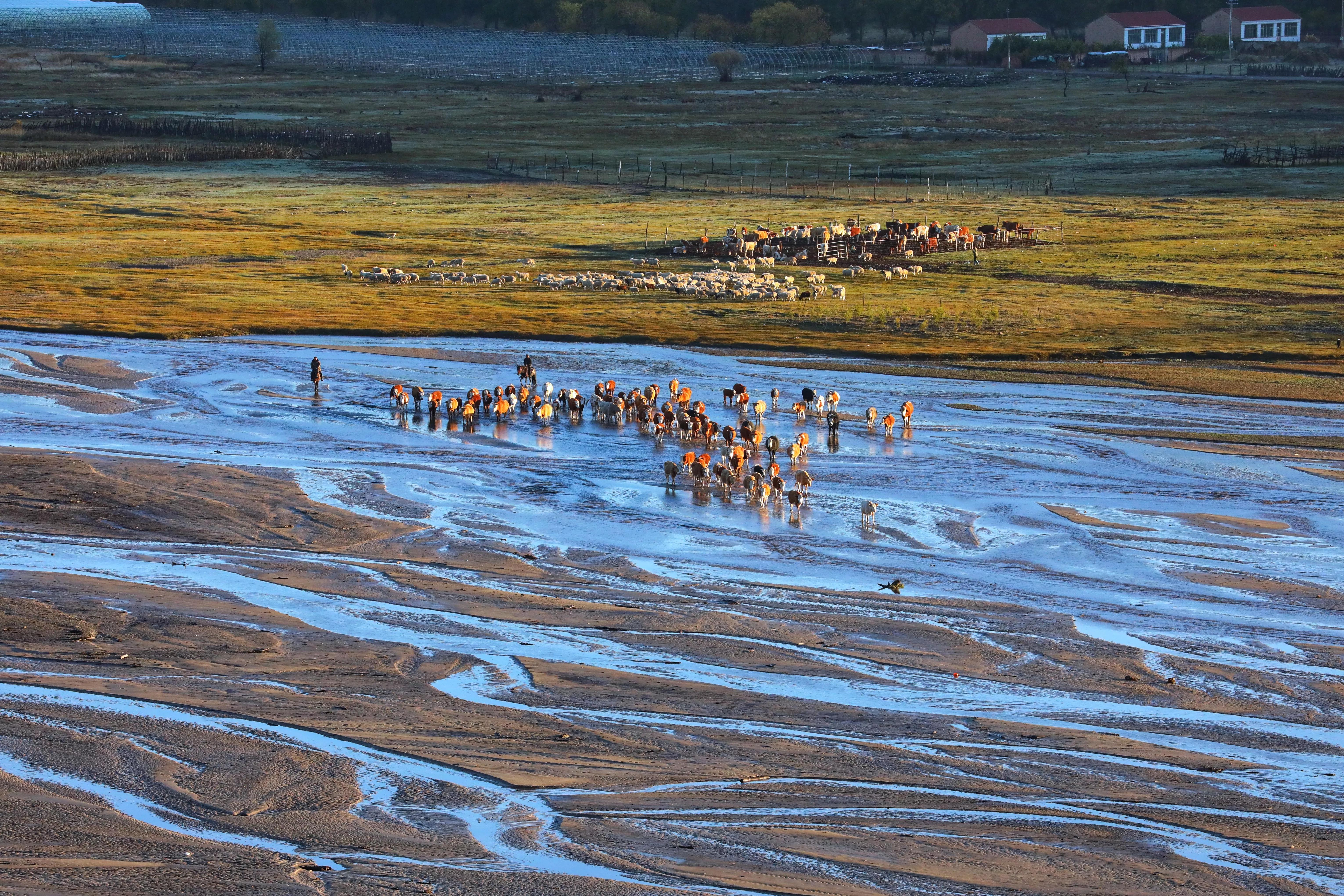 坝上秋色草原,坝上草原游记作文