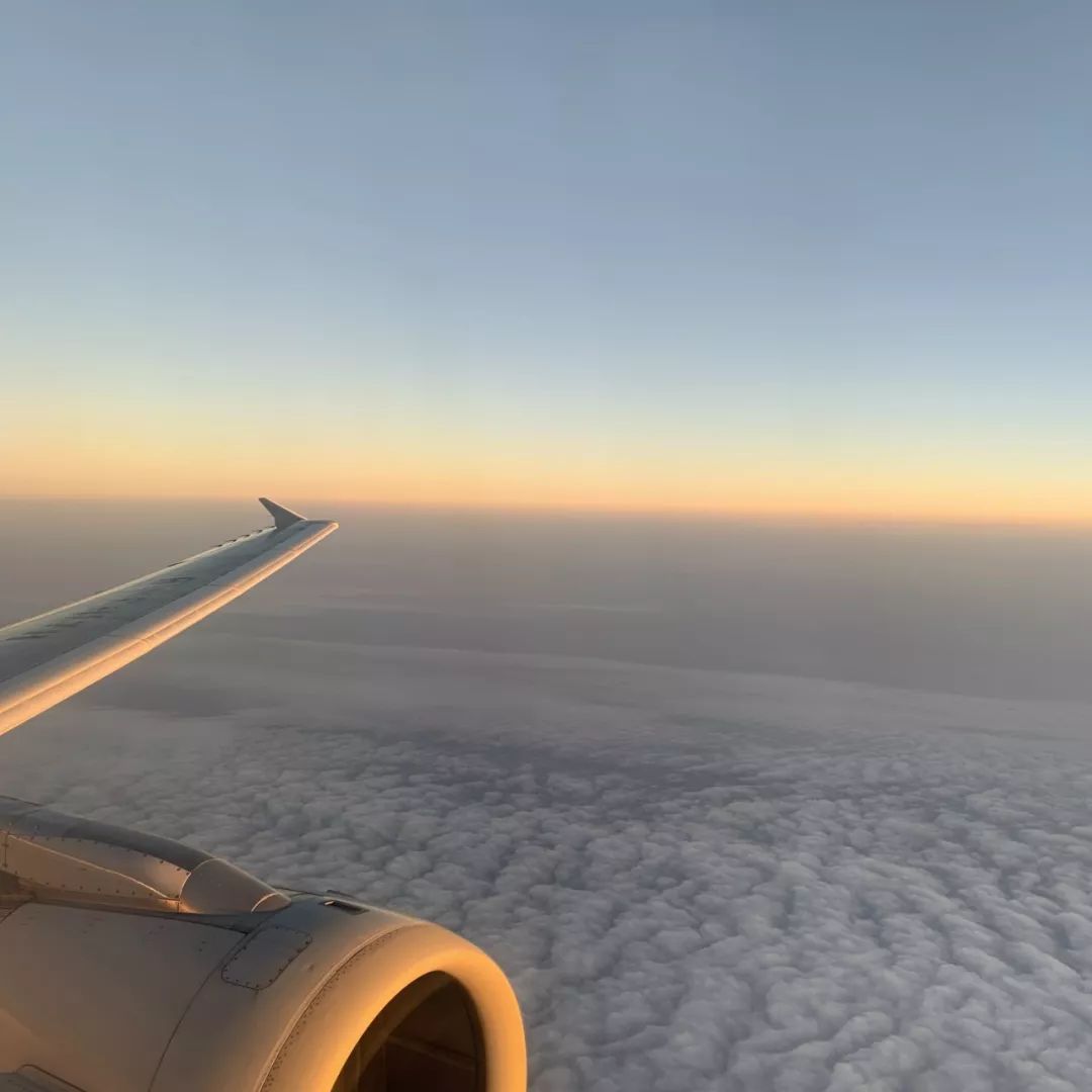 成都希尔顿酒店是几星级,成都希尔顿酒店集团