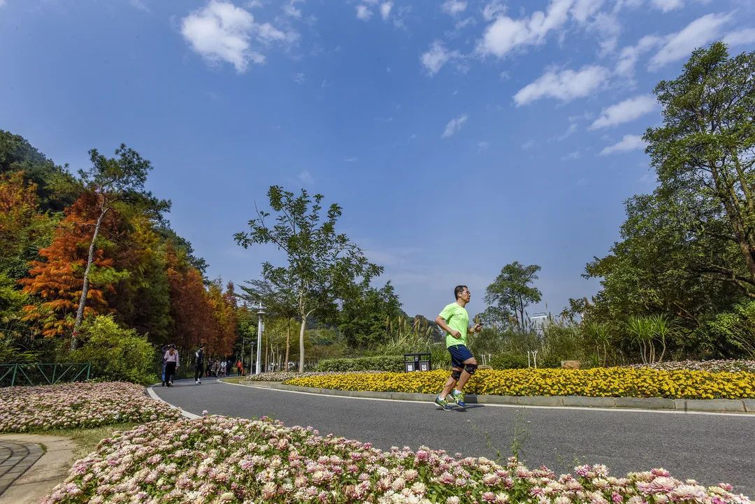 无糖热量高的食物会胖吗,无糖食品能量却很高