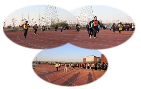 三棵树学校运动会,三棵树小学运动会