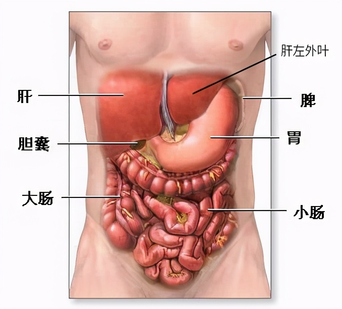肝癌会出现胃胀症状吗,胃胀是肝癌的症状吗