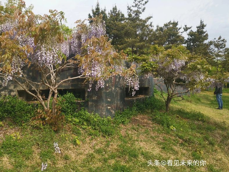 烟台开发区福莱山公园最新消息,烟台开发区福莱山公园喷泉时间