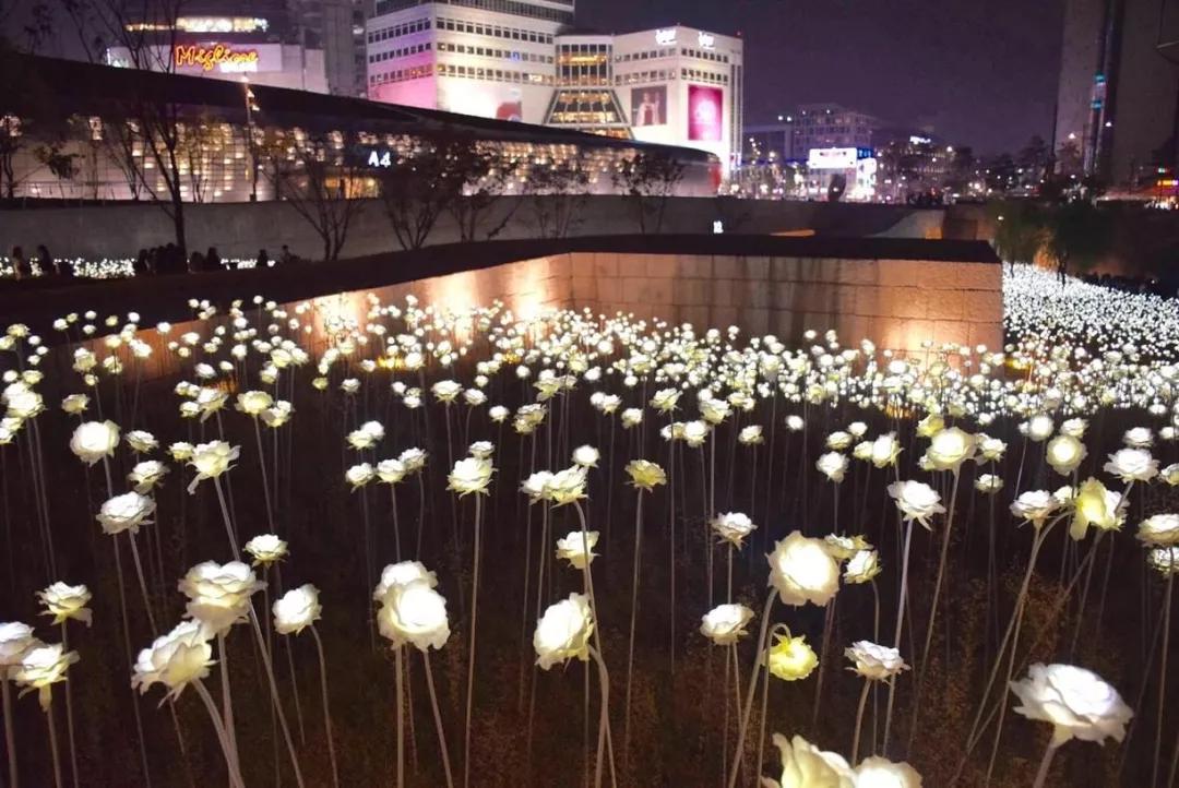 在首尔值得去的地方,在首尔的快乐时光