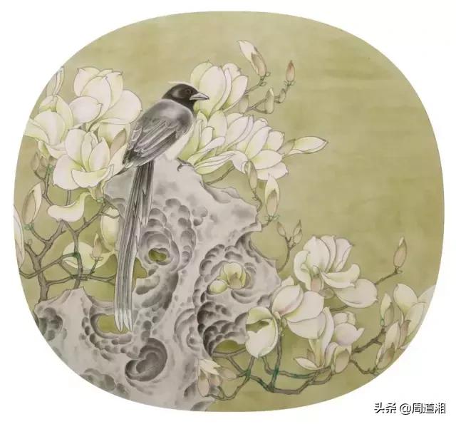 宋人工笔花鸟临摹步骤,工笔花鸟玉兰的画法