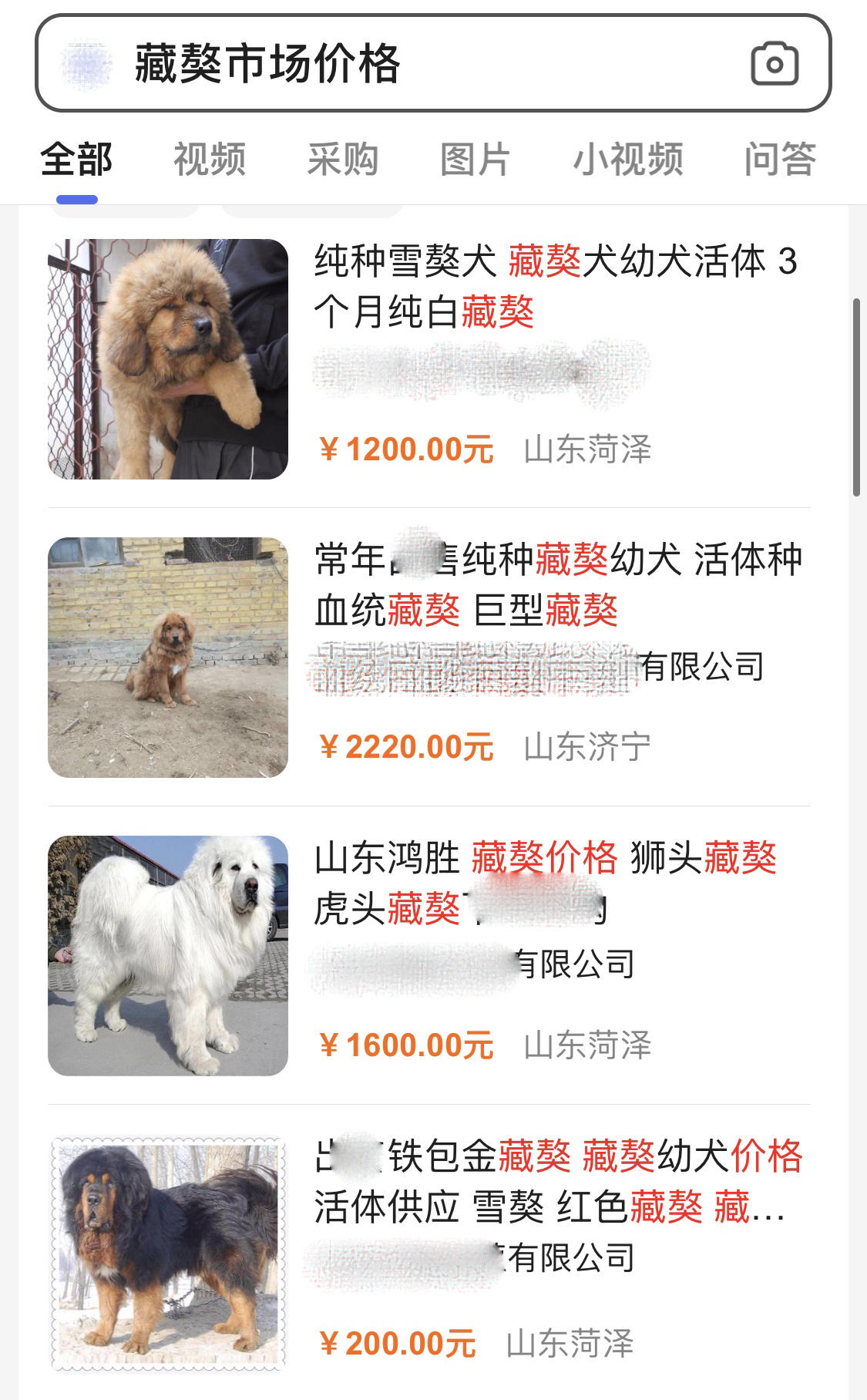 藏獒市场的兴起和崩塌,藏獒从身价不菲到沦为狗肉