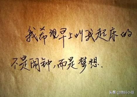 c+语言零基础入门到精通视频,c+语言入门教程小学生也能学会