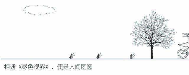 素菜馆探店,镇江素菜馆