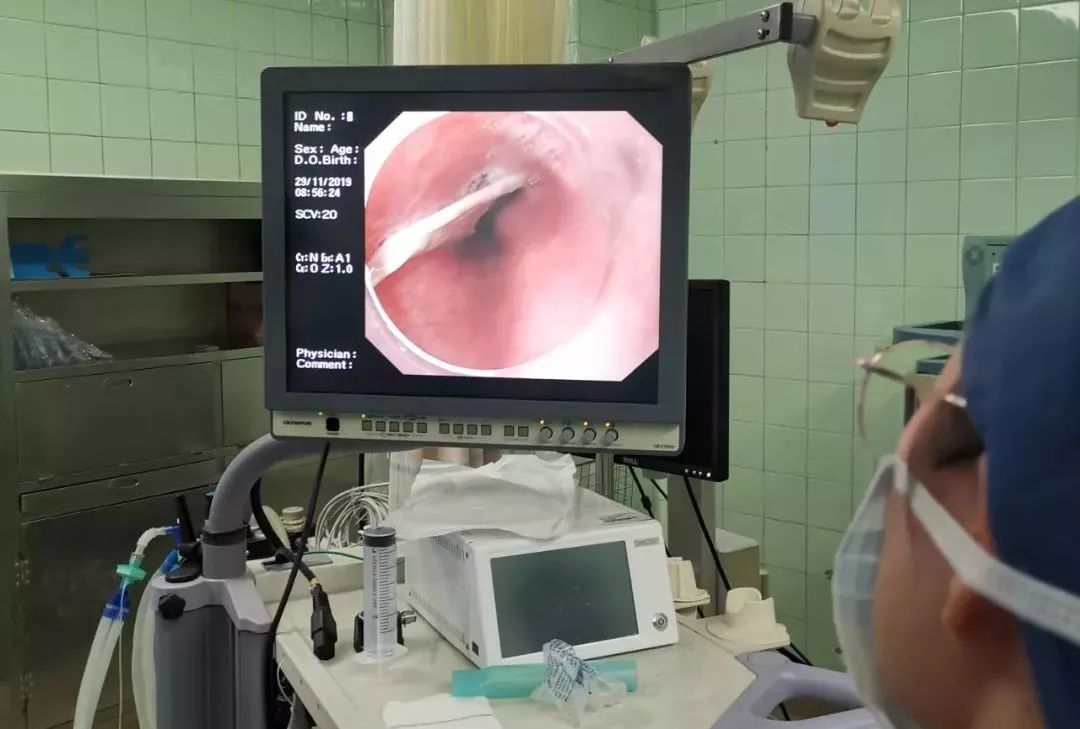 一只鸭引发血案,一只鸭引发的血案