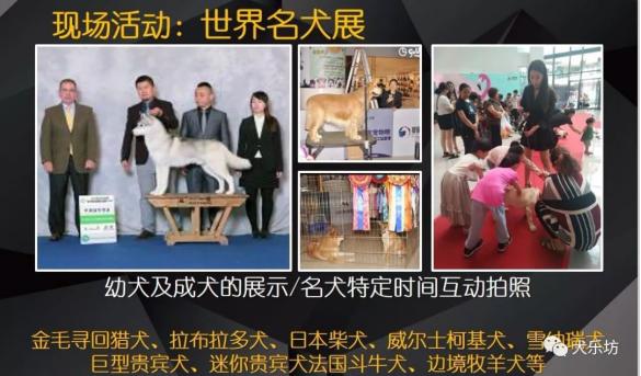 鑲嗘剰涔愭椿,鑲嗘剰涔愭椿灞变笢