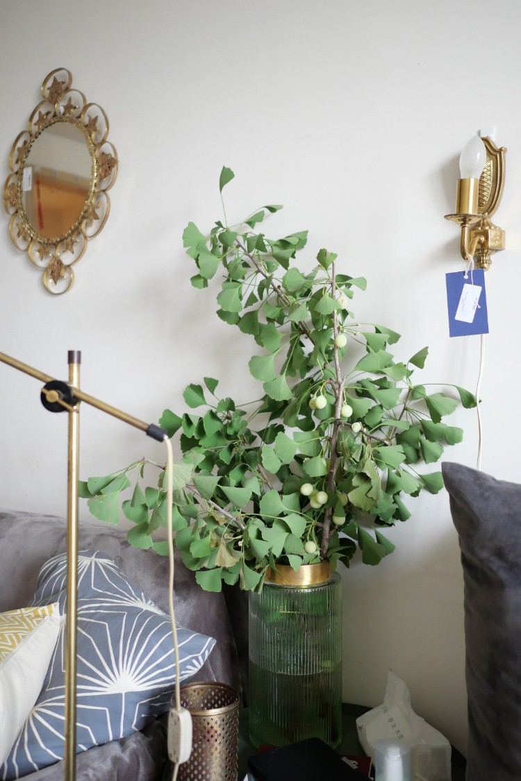 韩雪明星推荐好物,韩雪好物