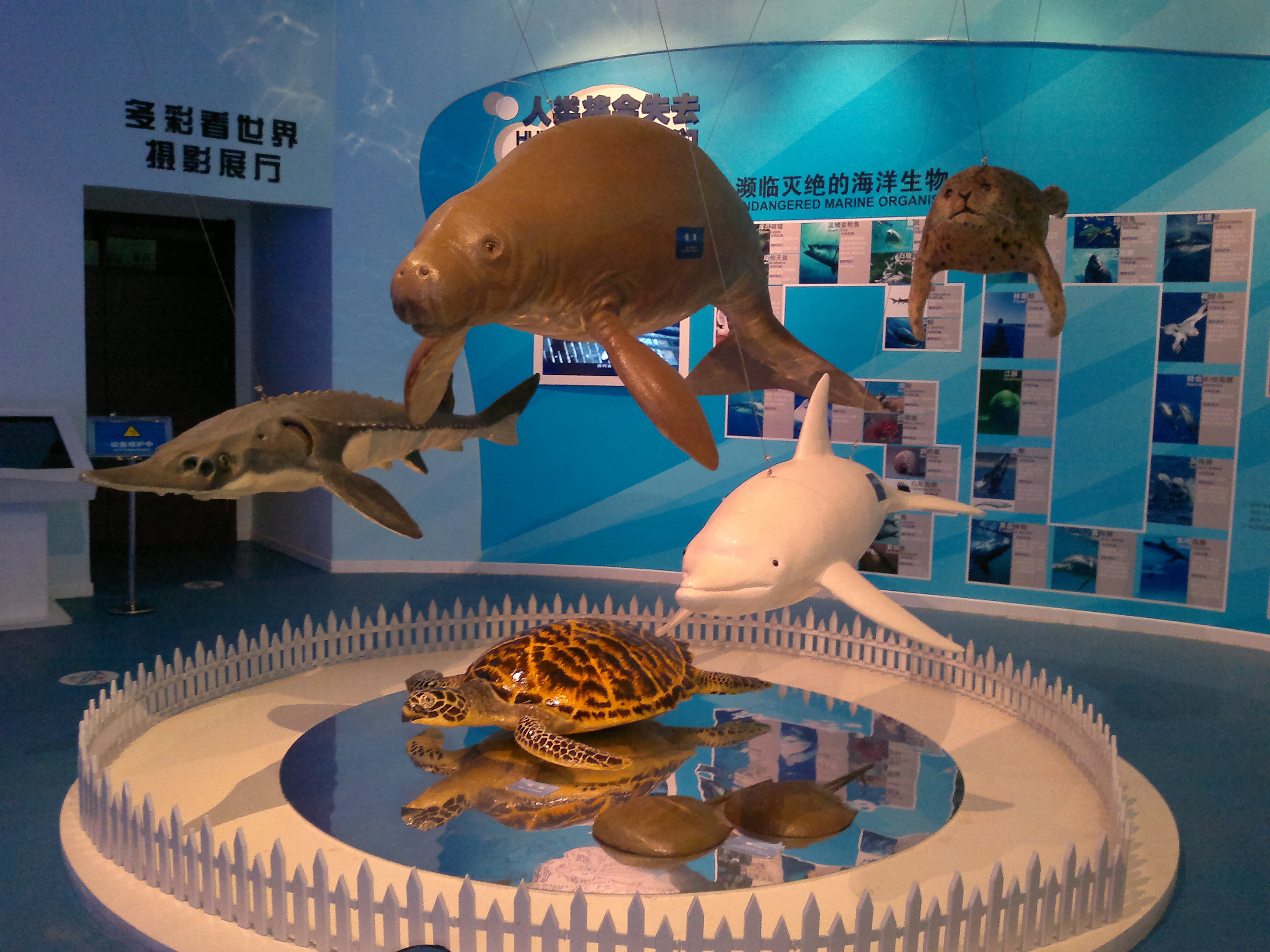 锦州世博园最好的地方,锦州世博园最佳游玩时间