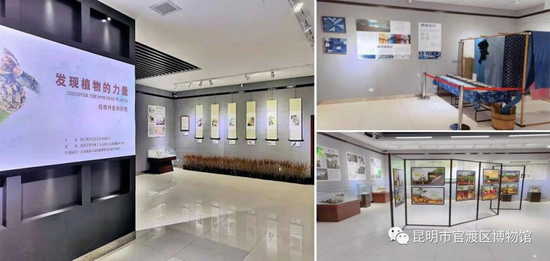 昆明动物博物馆免费开放时间,昆明博物馆和云南博物馆哪个好