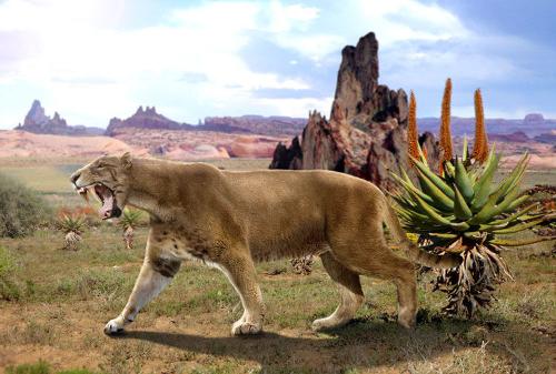 疯狂的爱狗人士,爱狗人士疯狂