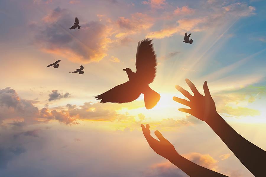 装修营销话术,装修顾问电话邀约话术