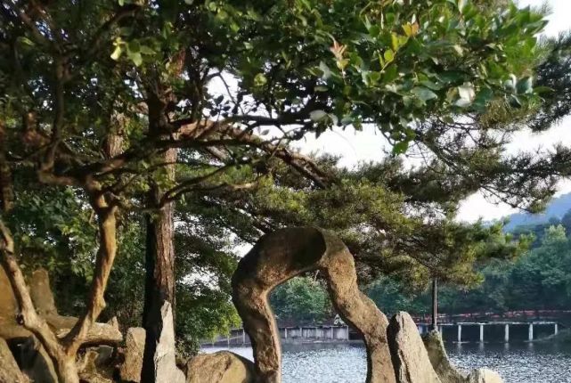 庐山风景到底怎么样,庐山有哪些著名自然景观