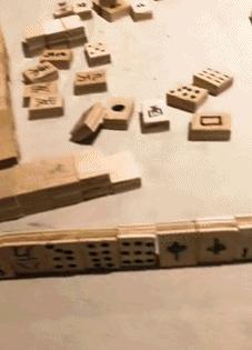 搞笑视频,搞笑动图gif猫咪