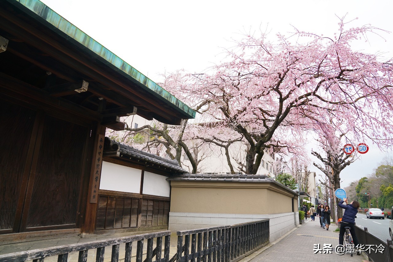 京都一眼千年的美景,京都永恒的美