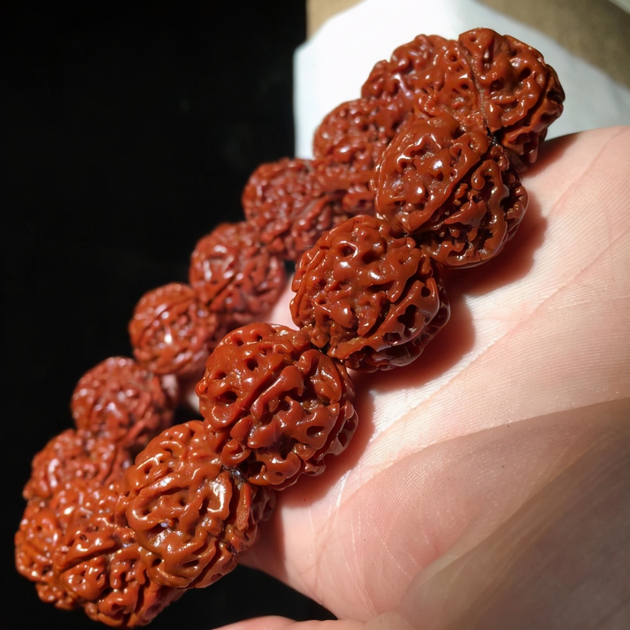 玩金刚菩提的9大误区,金刚菩提的基本知识