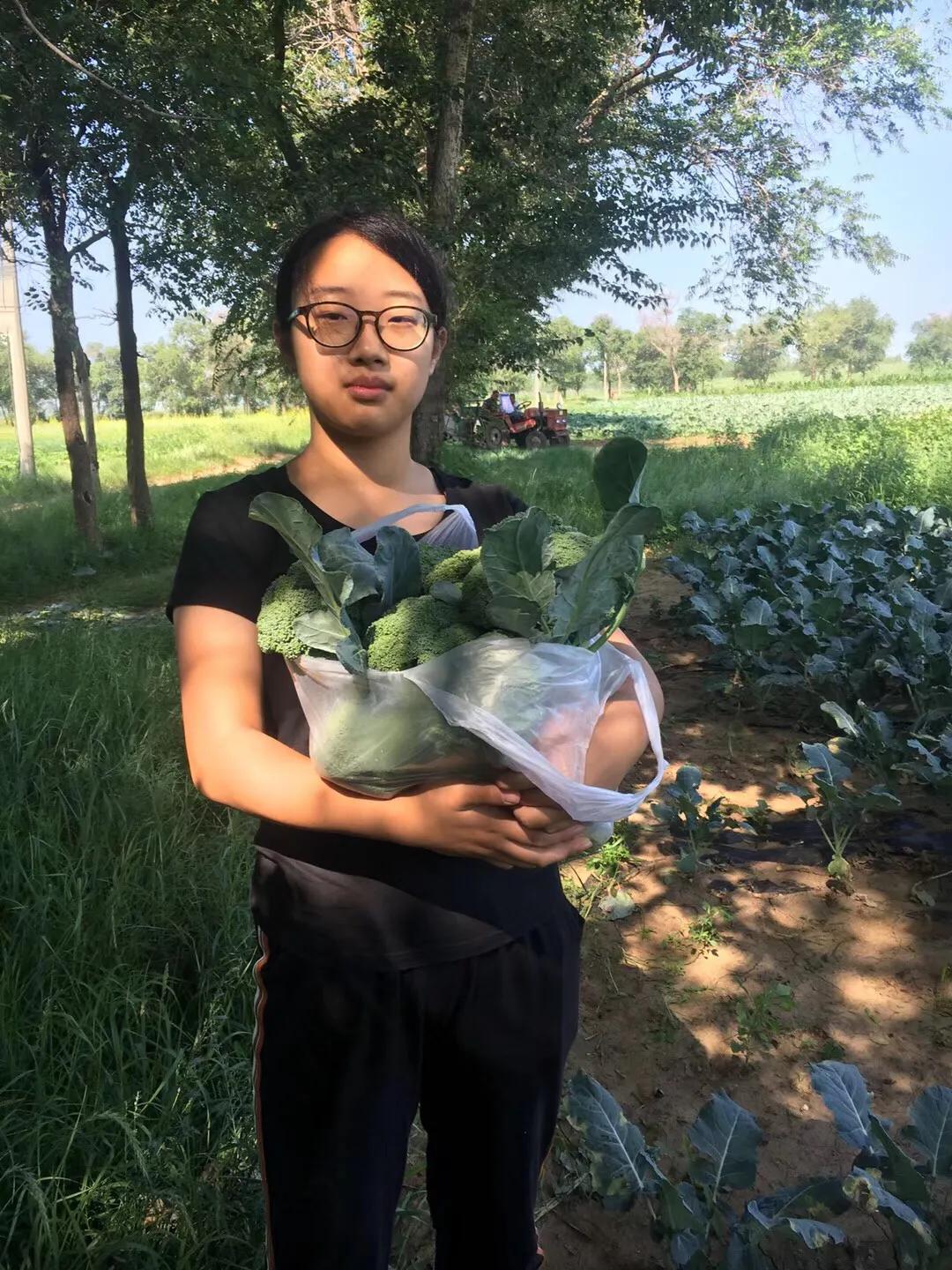 张北天路乌兰布统攻略,天津张北草原天路自驾游攻略