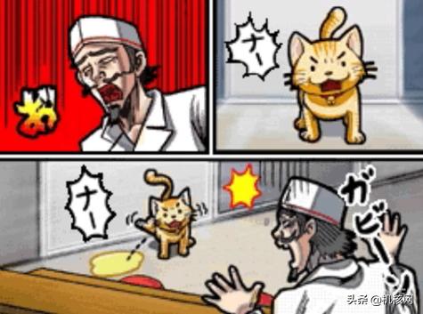 “爱”,“热血”与“永不言弃”:这就是《应援团》的故事