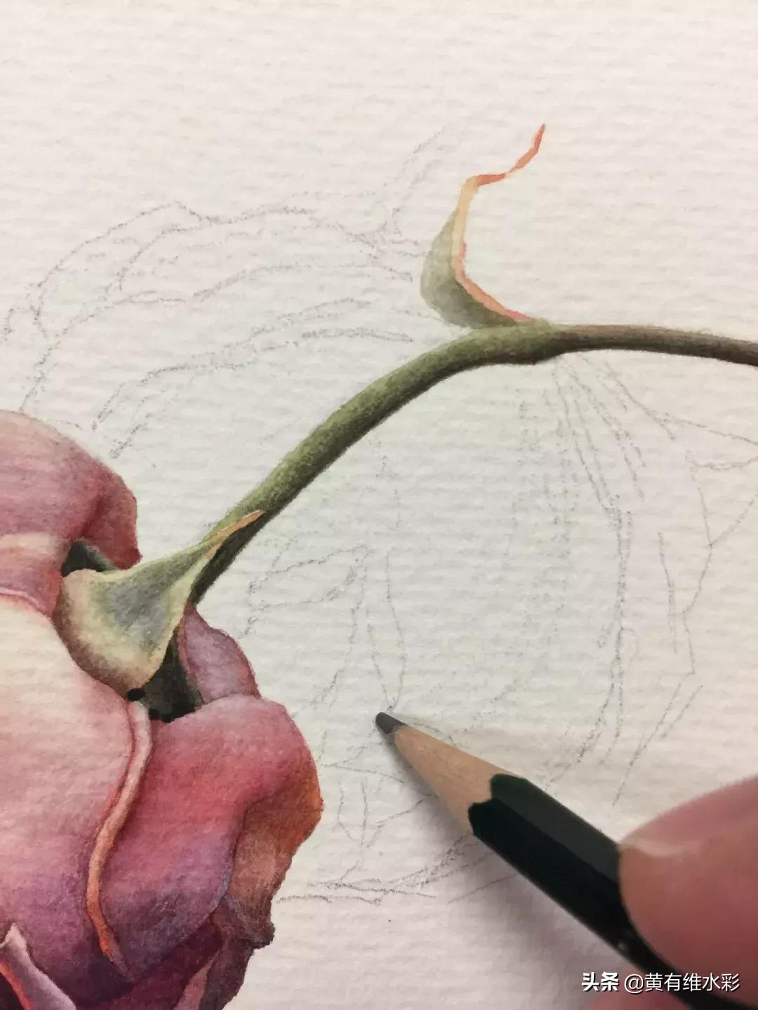 33朵玫瑰制作全过程,英伦花教程