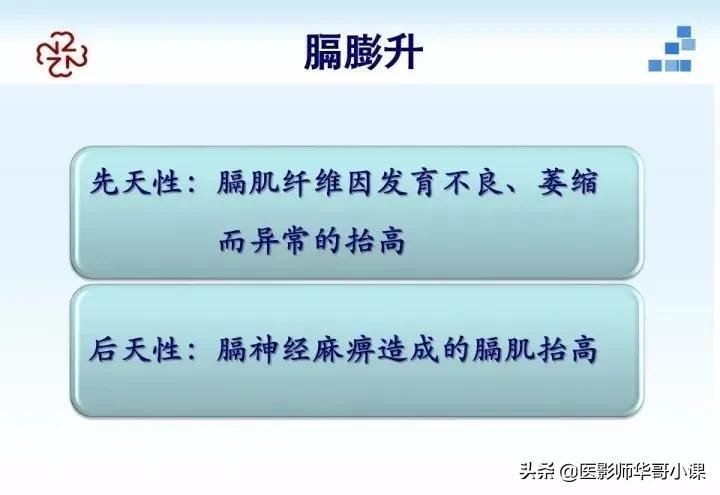 「精品课件」胸部膈肌的解剖及常见病变影像的表现