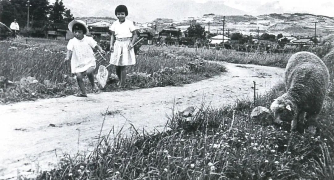 跟虫子谈恋爱,跟昆虫谈恋爱