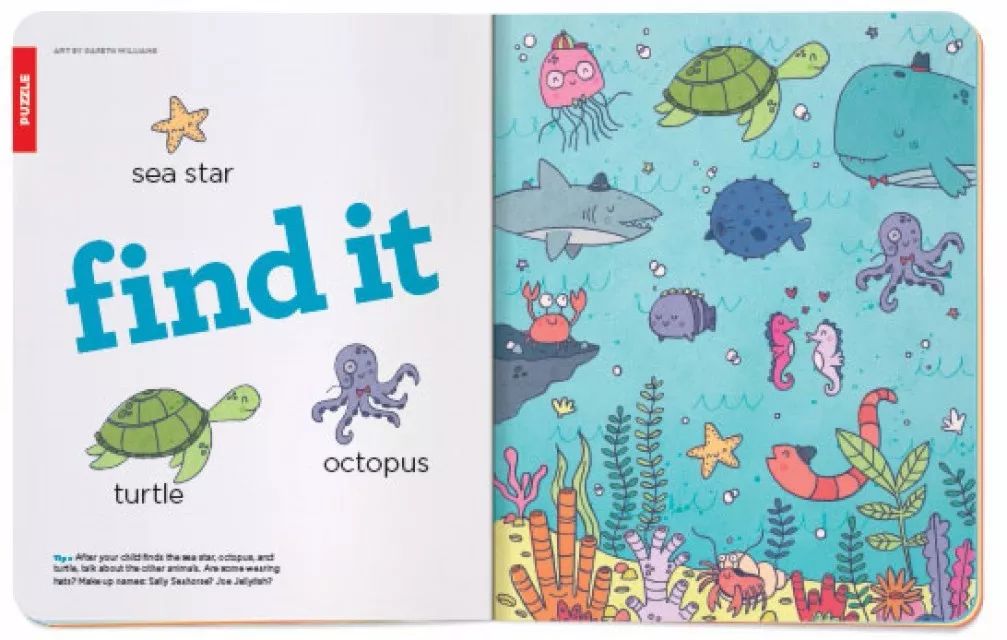 班主任推荐的书目,班主任方面的杂志推荐