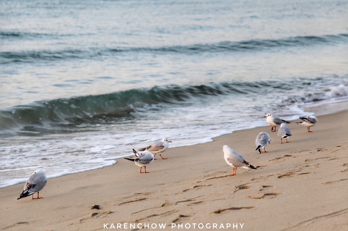 韩国安东美食,韩国釜山必游胜地