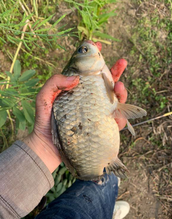 钓鱼越钓竿子越长,钓鱼时间越长渔具越简单