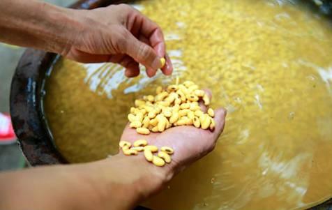 吃什么豆子容易放屁多,吃豆类放屁多的人不适合吃什么