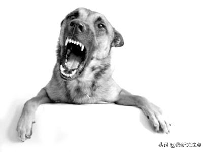 如何化解命犯天狗星,命带天狗煞代表什么