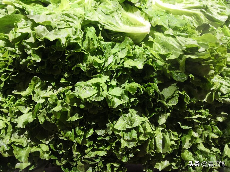 蜗牛吃菜用什么药消灭它,蔬菜上蜗牛用什么药才能杀灭