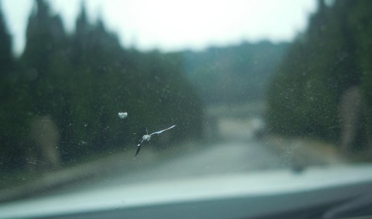 前挡风玻璃砸裂了怎么报保险,挡风玻璃被石子砸裂怎么样报保险