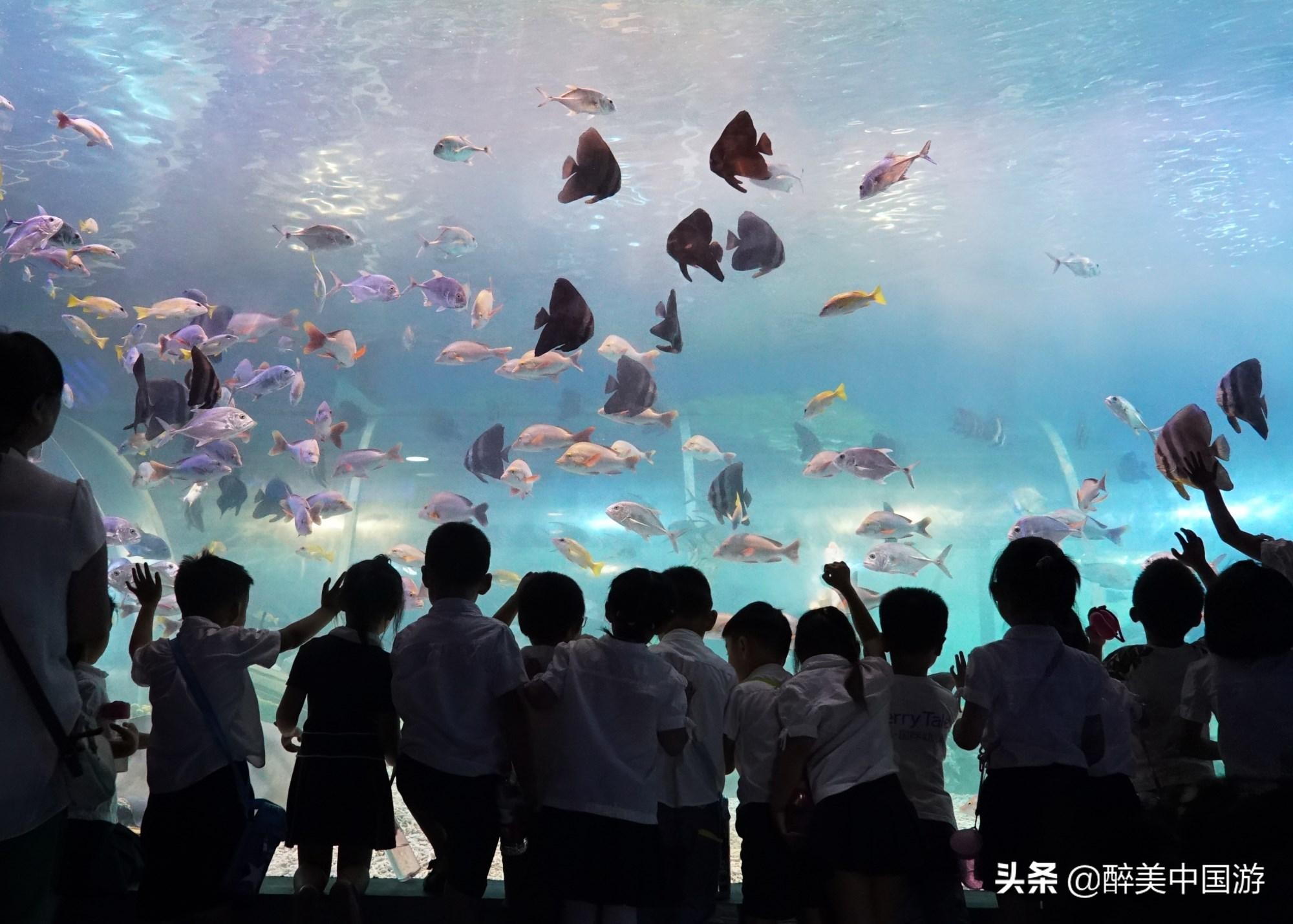 佛山海立方水族馆,探秘海洋公园