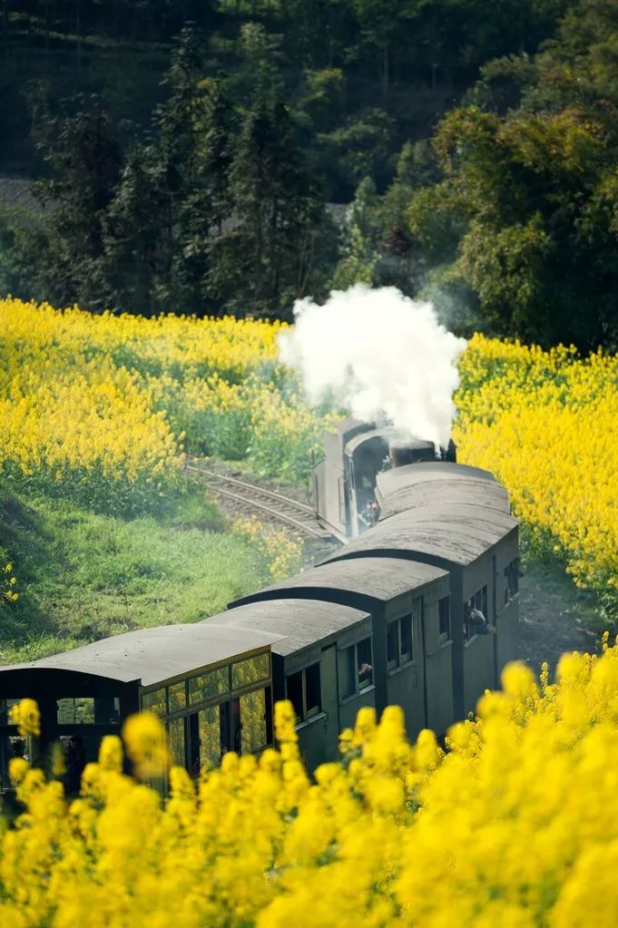 别在年轻的时候去四川！因为你的余生，都将沉醉在她的魅力里