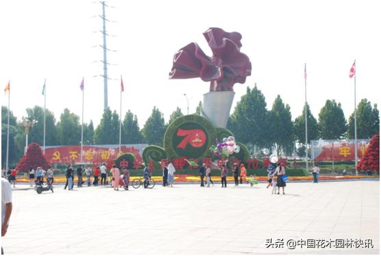 行业盛会视频,行业精英齐聚展会