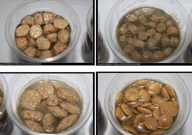 狗狗经常吃完饭吐出来,狗狗经常吃了饭喝了水吐