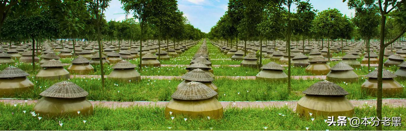 千禾味业爆火,千禾味业做的什么产品呀