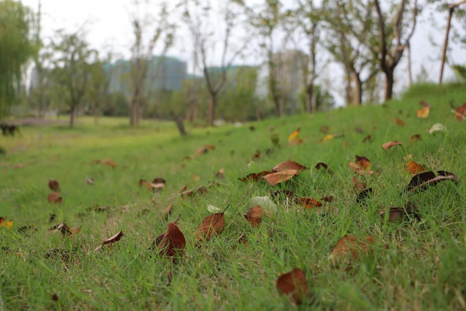 lcd琛屼笟闈舵潗,lcd闈舵潗