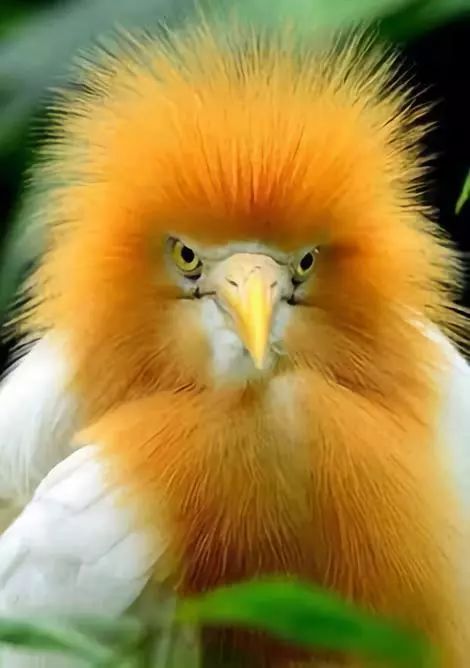 社会犹如一条船,社会就像一个丛林