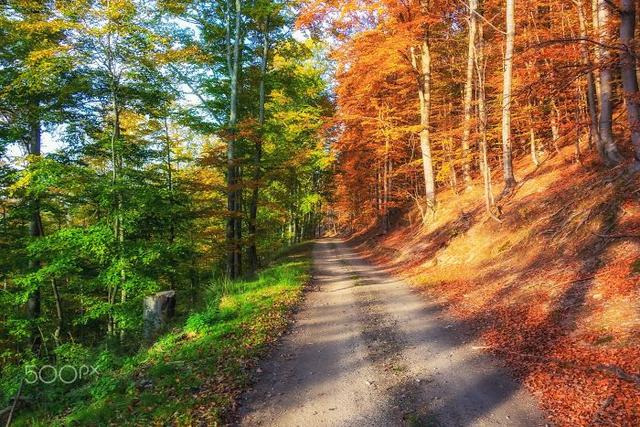 31张活久见的神奇自然照片,17张震撼人心的图片你看懂了几张