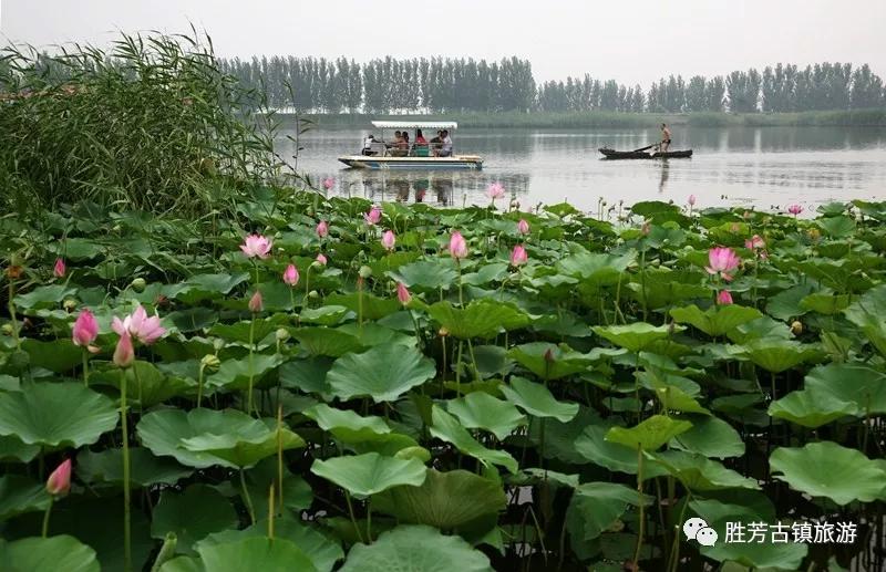 胜芳古镇有什么特色吗,胜芳古镇杨家大院
